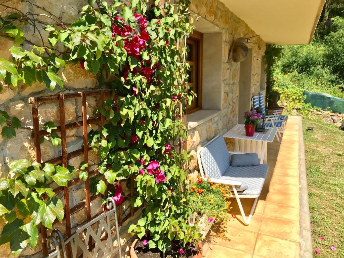 Loft 80 Mts En Un Entorno Natural. Mieres  Exterior photo